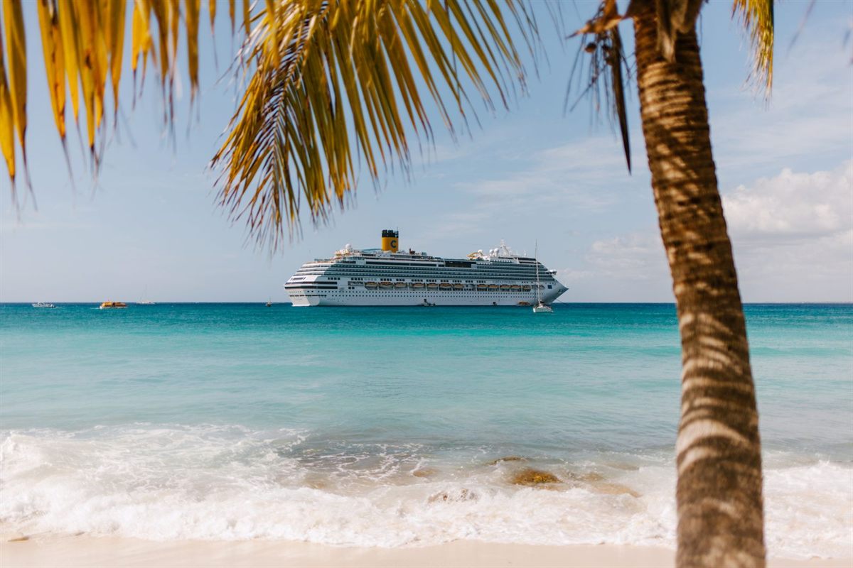 A cruise ship offshore beyond a palm tree and a white sand Caribbean beach